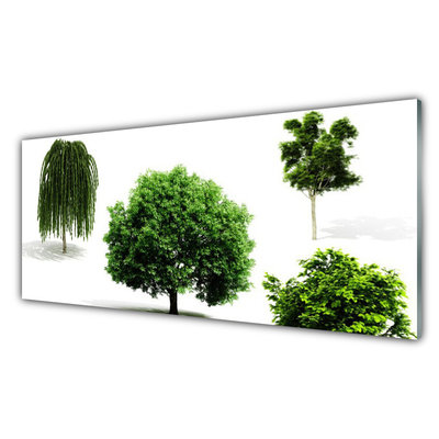 Slika na steklu Drevesa narava narava