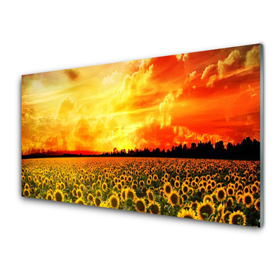 Slika na steklu Sončnice travnik flowers
