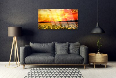 Slika na steklu Sončnice travnik flowers