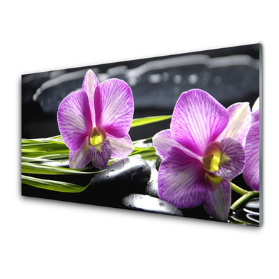 Slika na steklu Orchid zen spa stones