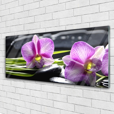 Slika na steklu Orchid zen spa stones
