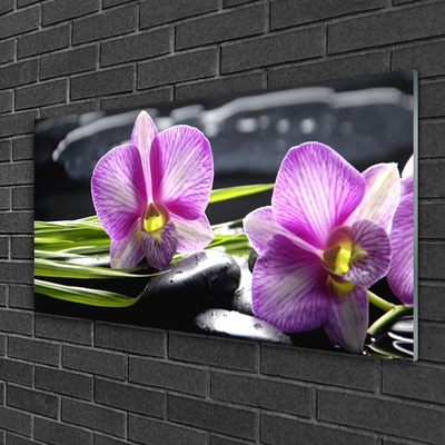 Slika na steklu Orchid zen spa stones