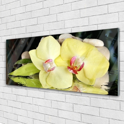 Slika na steklu Orchid cvetni listi
