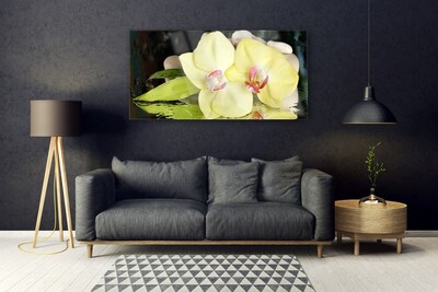 Slika na steklu Orchid cvetni listi