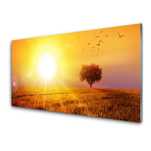 Slika na steklu Sunset meadow ptice