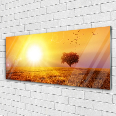 Slika na steklu Sunset meadow ptice