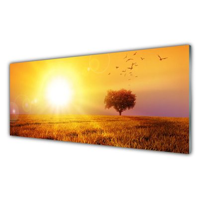 Slika na steklu Sunset meadow ptice