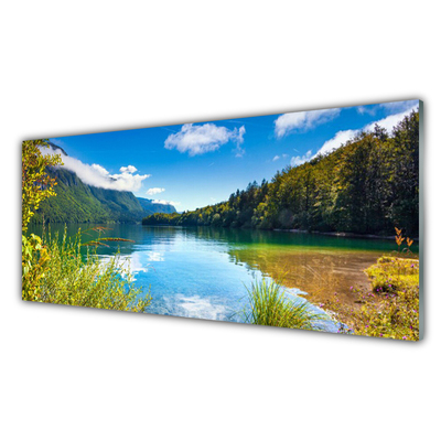 Slika na steklu Narava mountains forest lake