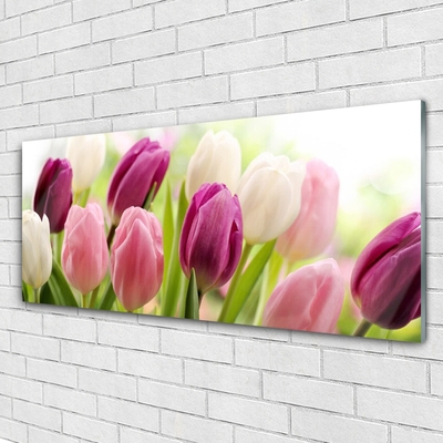 Slika na steklu Tulipani rože narava travnik
