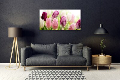 Slika na steklu Tulipani rože narava travnik