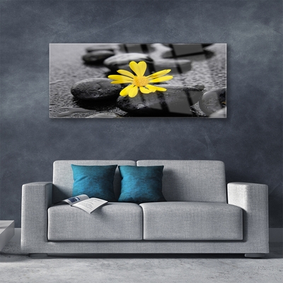 Slika na steklu Yellow flower nature spa