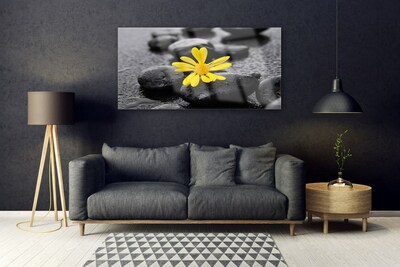 Slika na steklu Yellow flower nature spa
