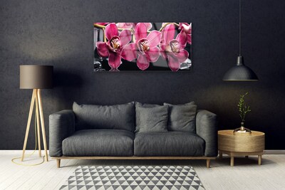 Slika na steklu Orchid rože narava poganjki