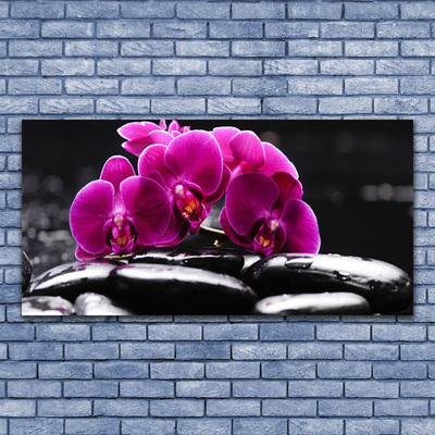Slika na steklu Zen kamni orchid spa