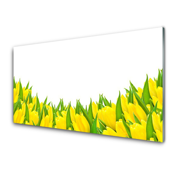 Slika na steklu Tulipani rože narava