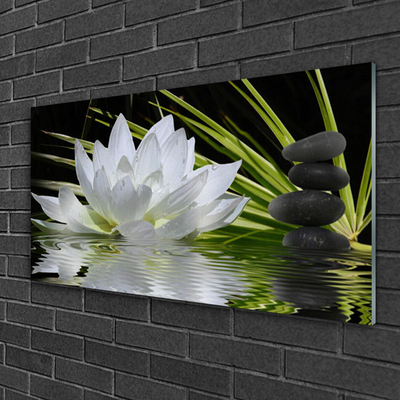 Slika na steklu Water lily cvetje