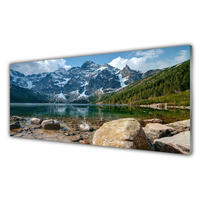 Slika na steklu Tatra mountains forest lake