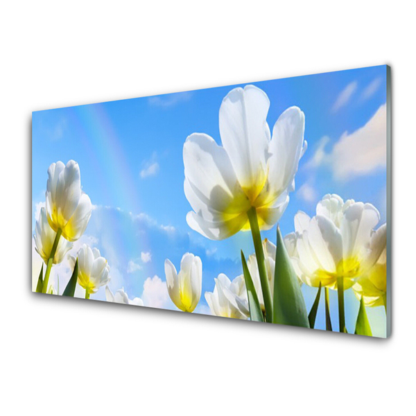 Slika na steklu Rastline rože tulipani