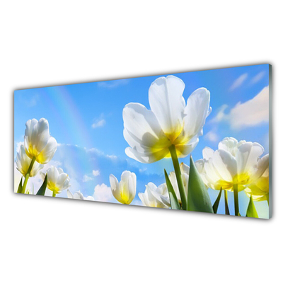Slika na steklu Rastline rože tulipani