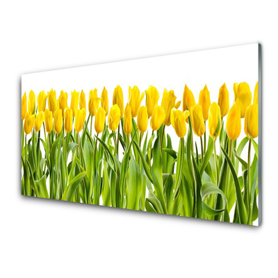 Slika na steklu Tulipani rože narava