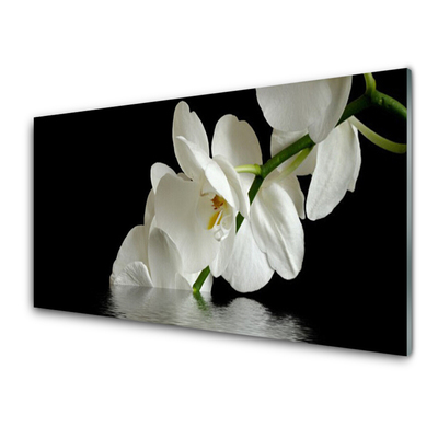Slika na steklu Orchid cvetje v vodi