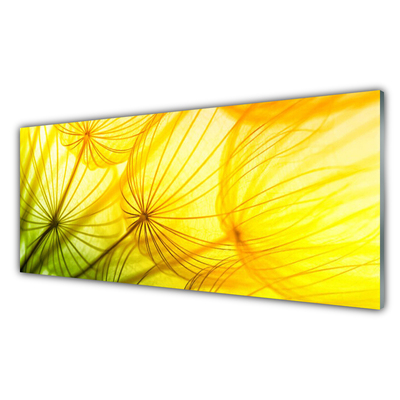 Slika na steklu Regratove lučke rože narava