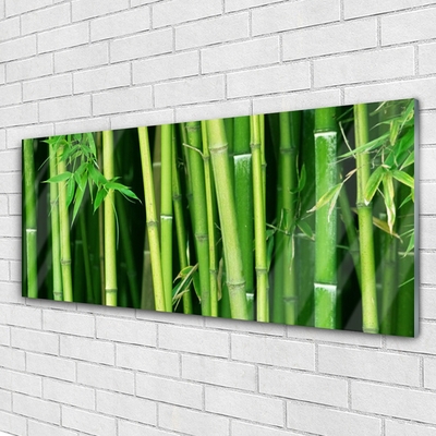 Slika na steklu Bamboo bamboo forest narava