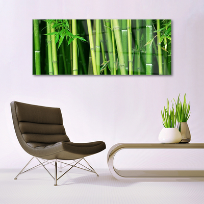 Slika na steklu Bamboo bamboo forest narava