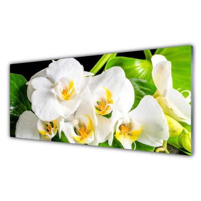 Slika na steklu Orhideje narava