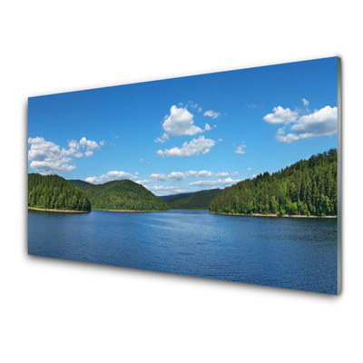 Slika na steklu Lake forest landscape
