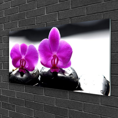 Slika na steklu Orhideje narava