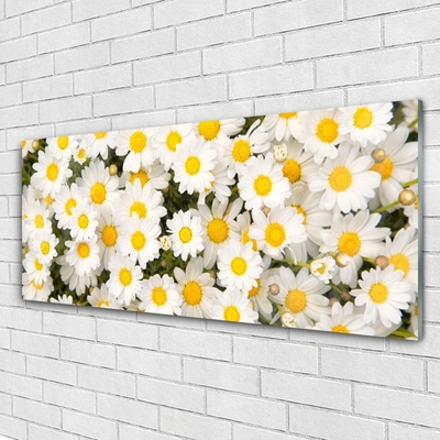 Slika na steklu Marjetice cvetje