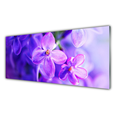 Slika na steklu Cvetje vijolična narava