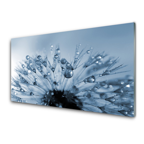Slika na steklu Dandelion flower drops