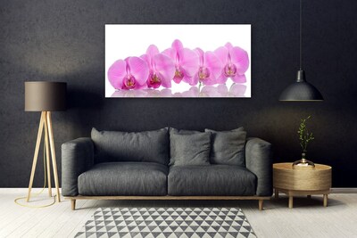 Slika na steklu Pink orchid cvetje