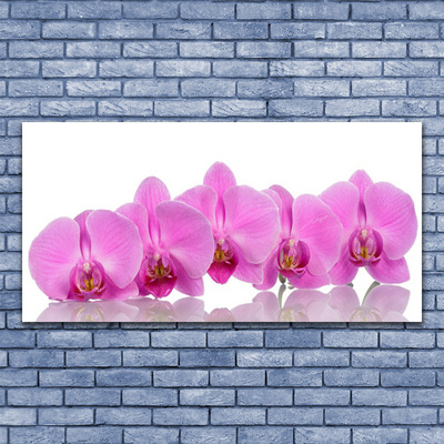 Slika na steklu Pink orchid cvetje