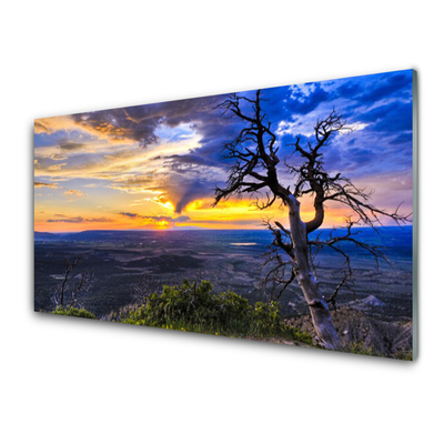 Slika na steklu Drevo sunset
