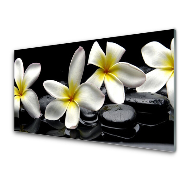 Slika na steklu Beautiful flower plumeria