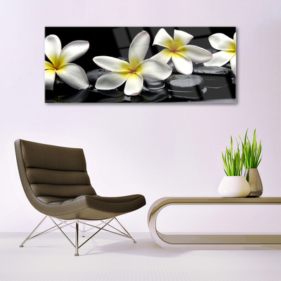 Slika na steklu Beautiful flower plumeria