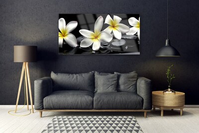 Slika na steklu Beautiful flower plumeria