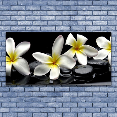 Slika na steklu Beautiful flower plumeria