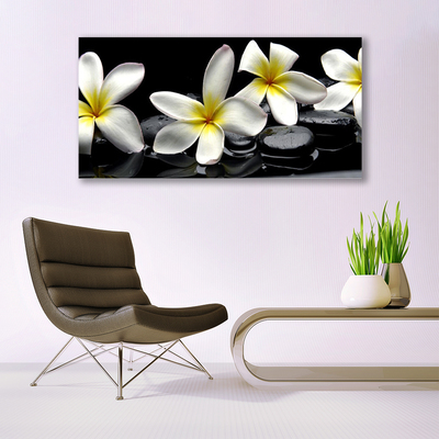 Slika na steklu Beautiful flower plumeria