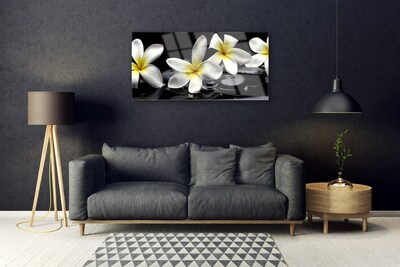 Slika na steklu Beautiful flower plumeria