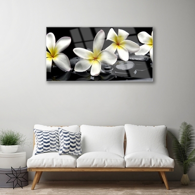 Slika na steklu Beautiful flower plumeria