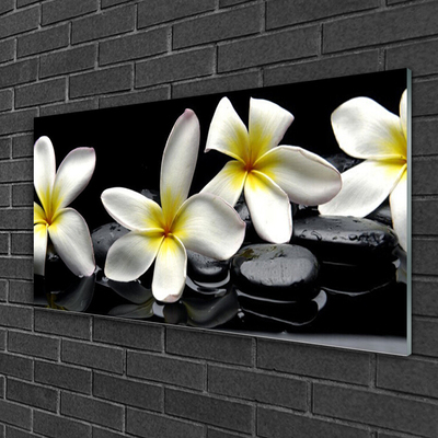 Slika na steklu Beautiful flower plumeria