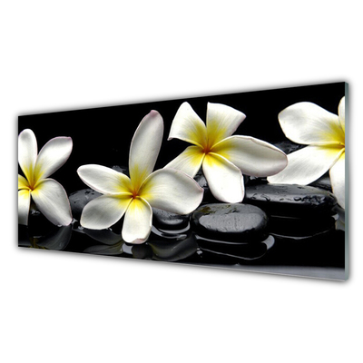 Slika na steklu Beautiful flower plumeria