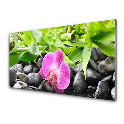 Slika na steklu Orchid cvetje rastlin