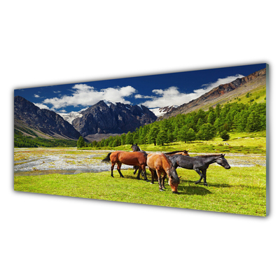 Slika na steklu Hribi drevesa konji živali