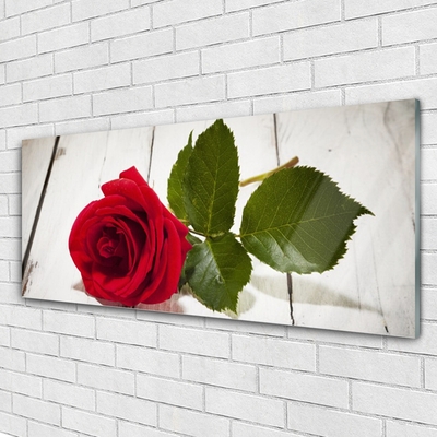 Slika na steklu Rose flower rastlin narava
