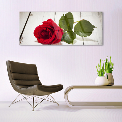 Slika na steklu Rose flower rastlin narava